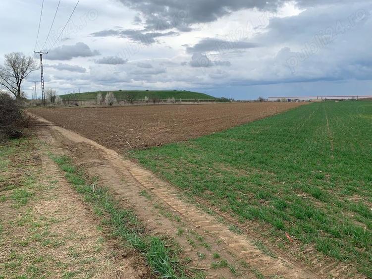 Teren de 15000 mp, în Șag