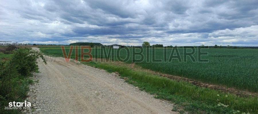 Teren Intravilan 31.900 mp, Corbeanca Deschidere 70 ml, Zona Reziden - 1