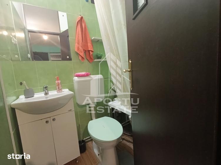 Apartament cu 4 camere, centrala proprie, 2 bai, terasa, zona Iosefin. - 5