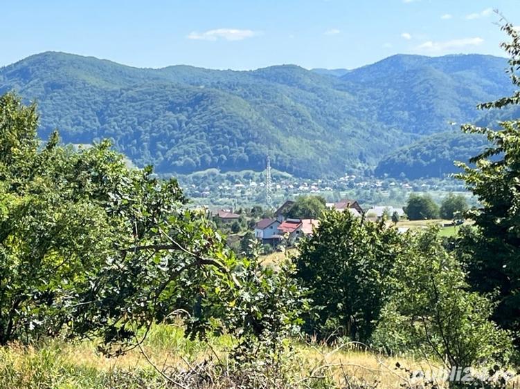 Teren de 10000 mp, în Alexandru cel Bun