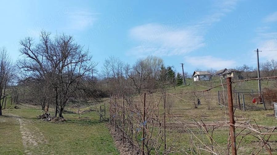 Casă cu Teren 6772 Mp în Ursoaia