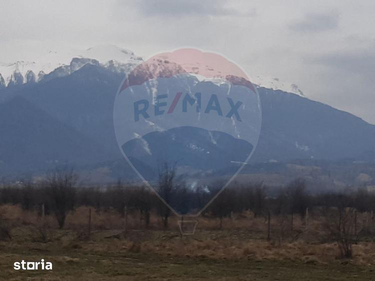 Teren 10,000mp Rasnov / Drumul Panicel - 2