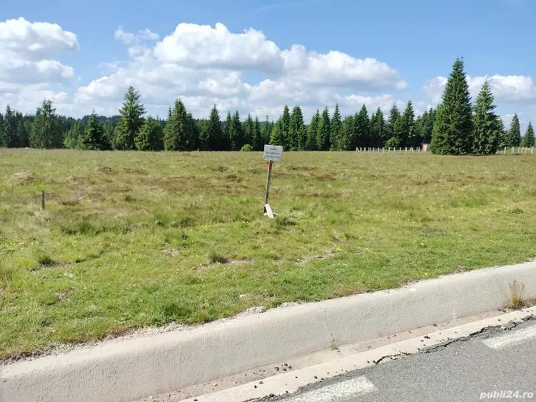 Teren de 1000 mp, în Beliș