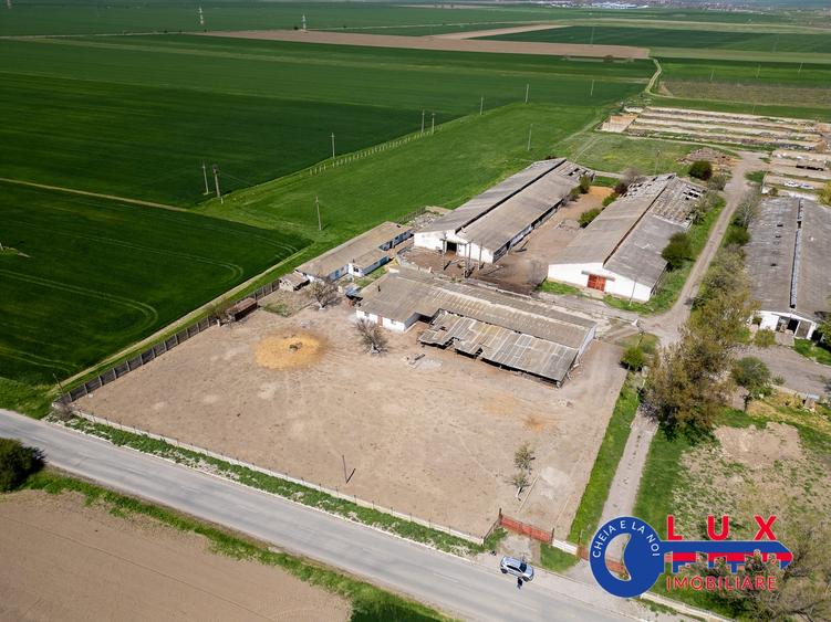Teren agricol intravilan de 11532 mp, în Mihail Kogălniceanu