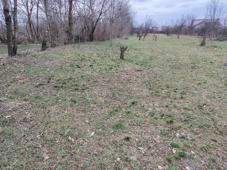 Teren de 1400 mp, în Bănești