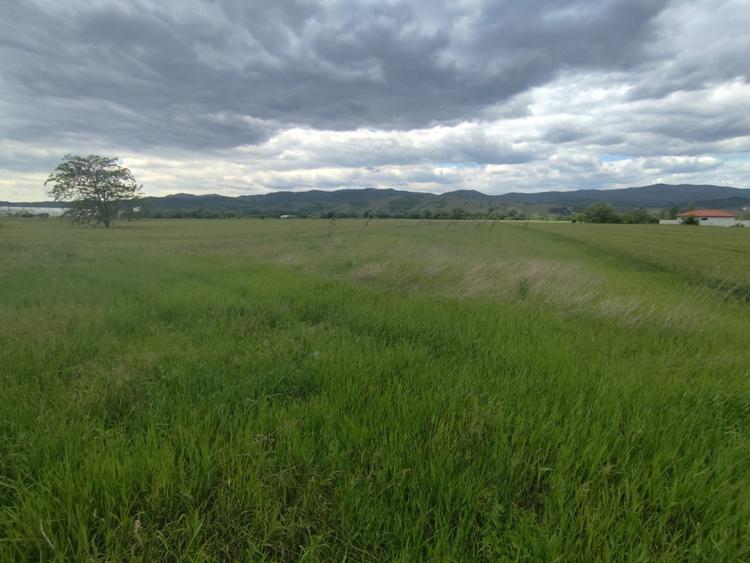 Teren agricol extravilan de 10400 mp, în Vințu de Jos