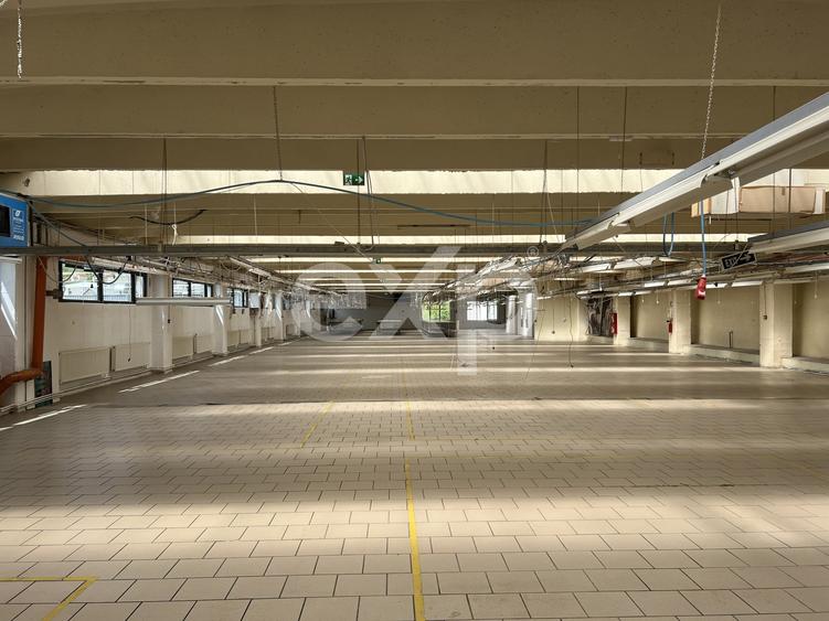 Spațiu industrial, de 6,000 mp, în Iris