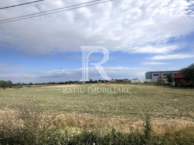 Teren Construcții intravilan de 9482 mp, în Leș