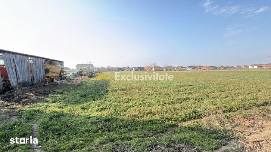 Casă cu 4 camere semidecomandat cu Teren 2948 Mp în Tiream