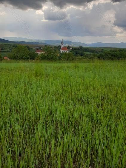 Teren de 34422 mp, în Bădeni