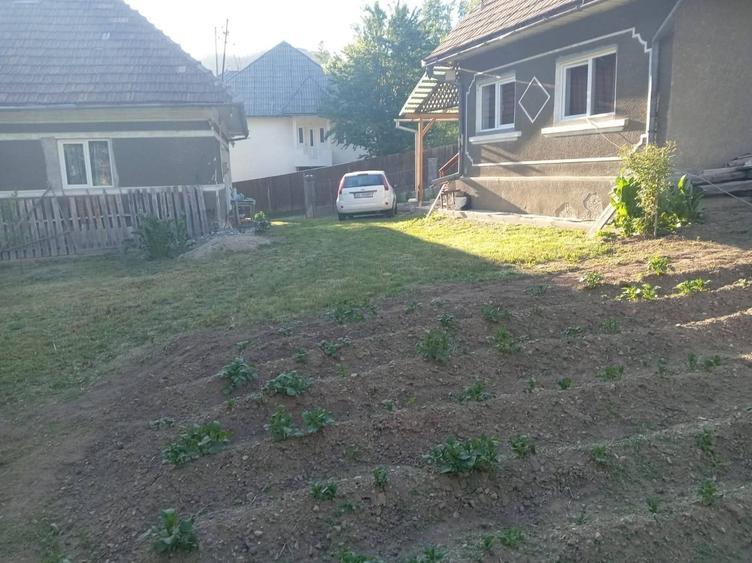 Casă cu 3 camere în Scărișoara