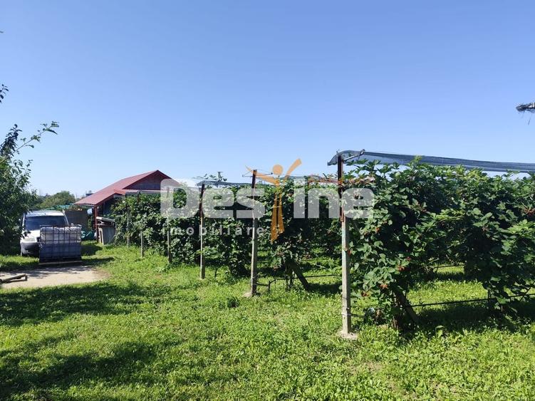 Proprietate specială, de 30 mp, în Nord