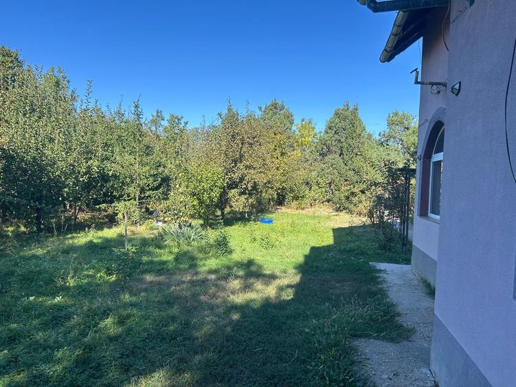 Teren Construcții intravilan de 2600 mp, în Rahova
