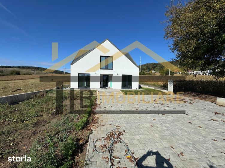 Casa individuala 4 camere, 181 mp utili, teren 822mp, zona Unirii - 14