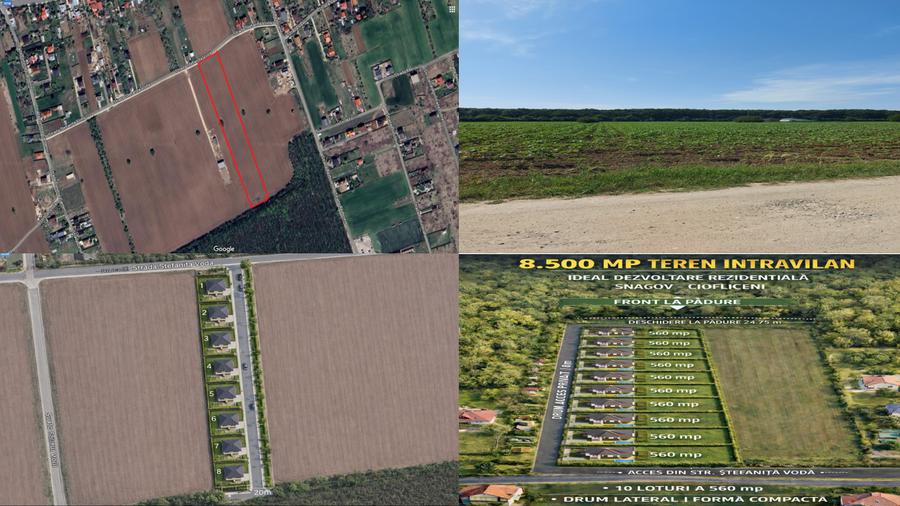 Teren Construcții intravilan de 8500 mp, în Ciofliceni