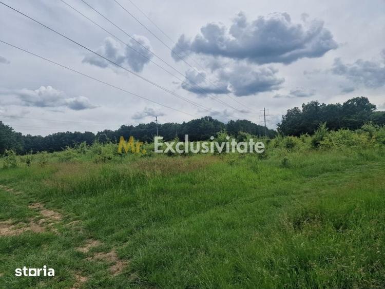 Teren extravilan Pitesti - str. Balotesi!! - 6