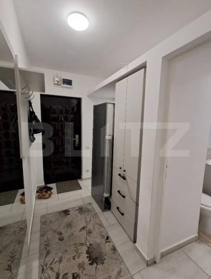 Apartament cu 2 camere nedecomandat, mobilat în Alexandru cel Bun