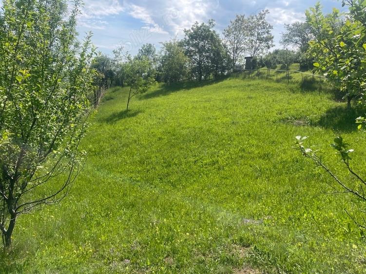 Teren de 5000 mp, în Schiulești