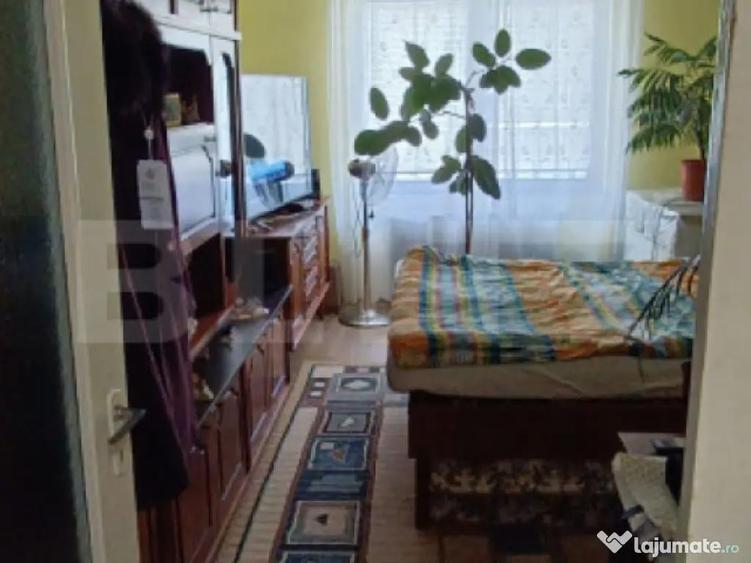 Apartament 3 camere, 2 bai, mobilat, central Ludu? - 7
