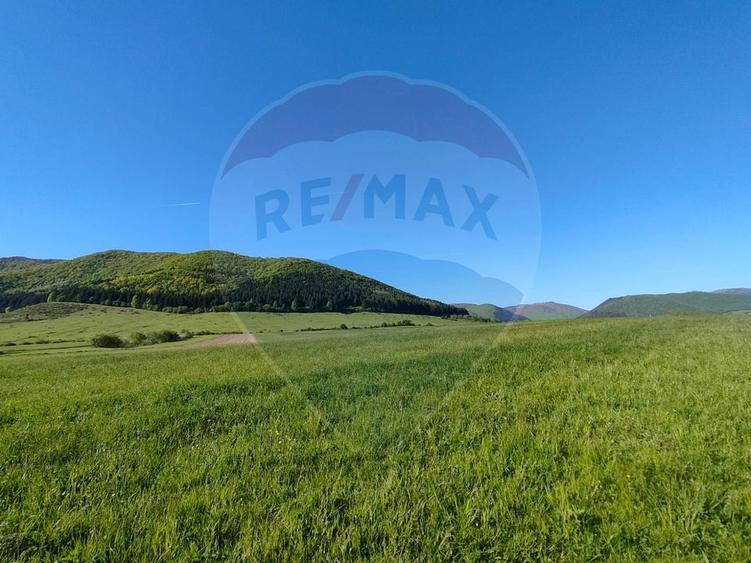 Teren agricol extravilan de 1668 mp, în Gura Râului