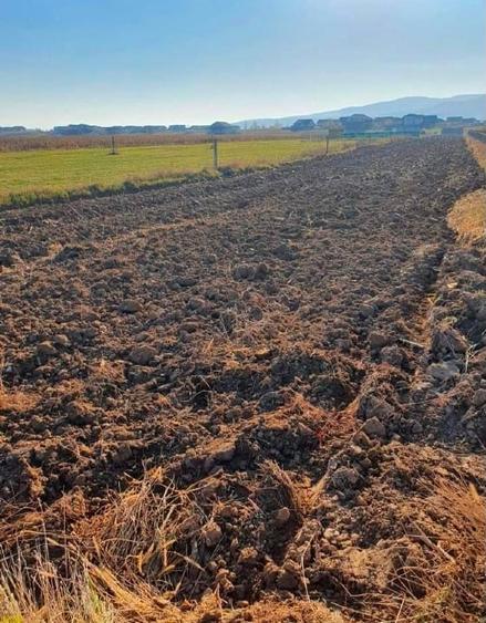 Teren Construcții intravilan de 4700 mp, în Bărăbanț