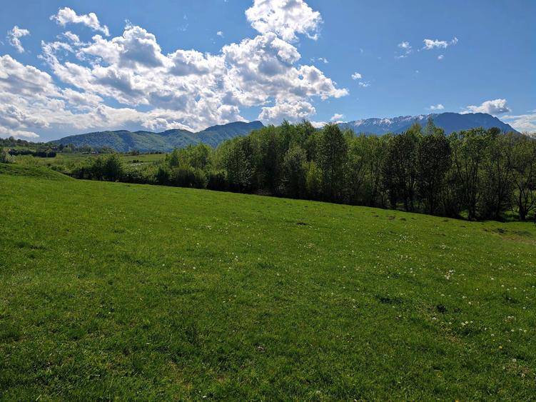 Teren Construcții intravilan de 5783 mp, în Bran