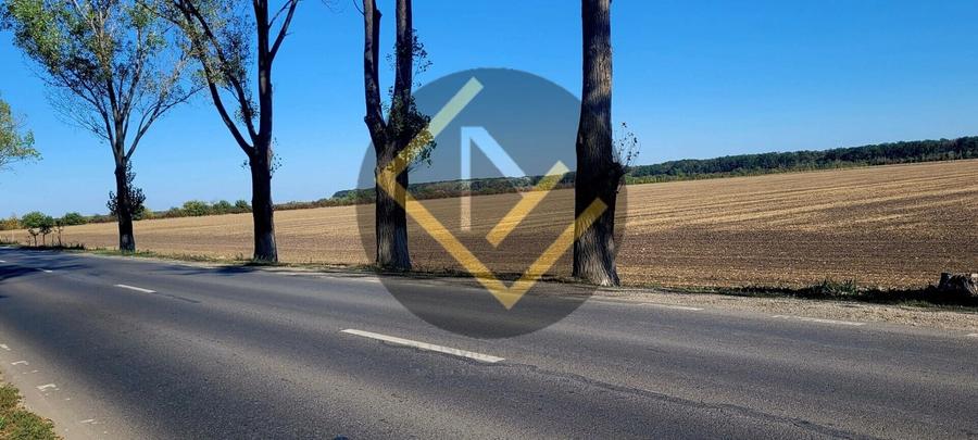 Teren Construcții intravilan de 25800 mp, în Central