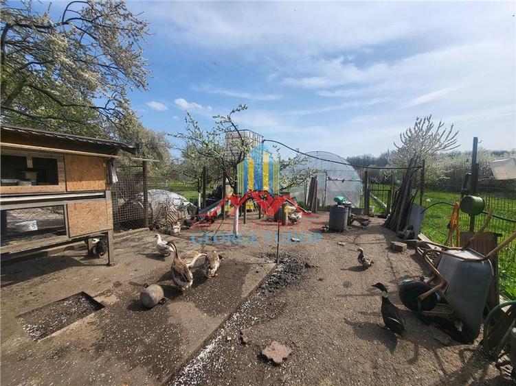 Casă individuală cu 5 camere cu Teren 1387 Mp în Suseni
