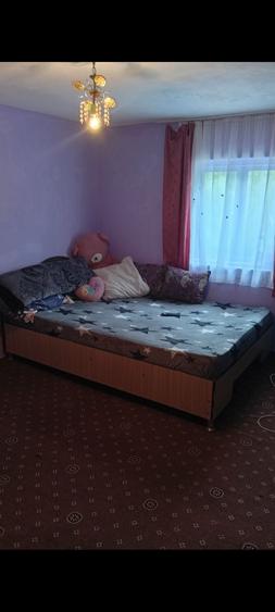 Casă cu 4 camere în Valea Siliștii