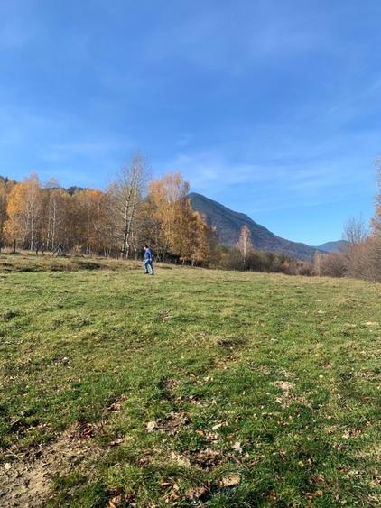 Teren Construcții intravilan de 1000 mp, în Tohănița