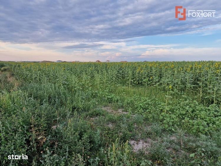 Teren intravilan de 2100 mp de vanzare in Remetea Mare - 2