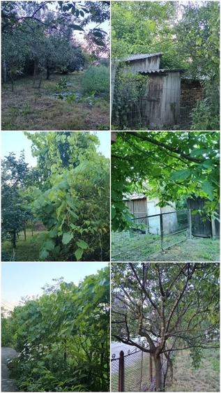 Casă cu 4 camere în Ilișua