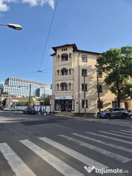 Proprietar,sp.comercial,cabinet,salon,agentie,Tineretului-Parcul Carol - 6