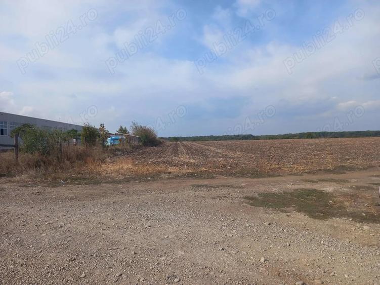 Teren de 10000 mp, în Dascălu