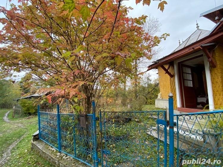 Teren de 6000 mp, în Provița de Sus