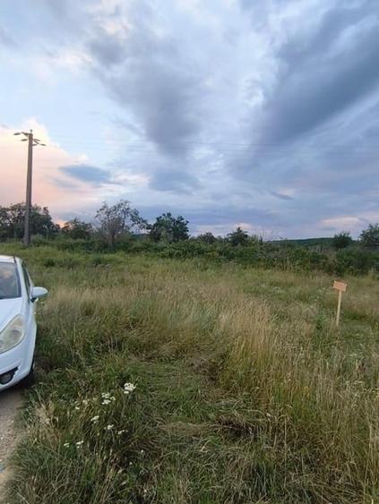 Teren Construcții intravilan de 1000 mp, în Pianu