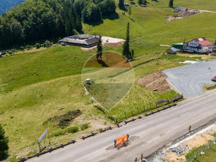 Teren agricol extravilan de 52519 mp, în Dâmbovicioara