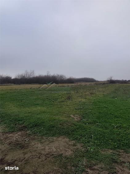 Teren de 1900 mp, în Sânmartin