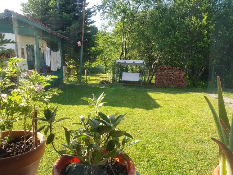 Casa in Breaza de Sus, ultracentral, 3 camere, teren 376 mp-76.000 (negociabil) - 4