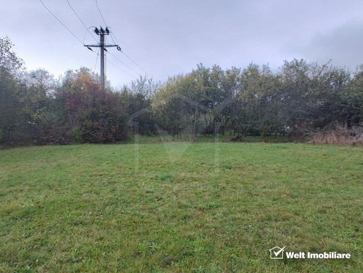 Teren Construcții intravilan de 3212 mp, în Pădureni (Chinteni)