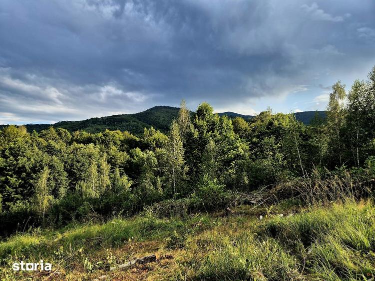 Teren de 3182 mp, în Șinca