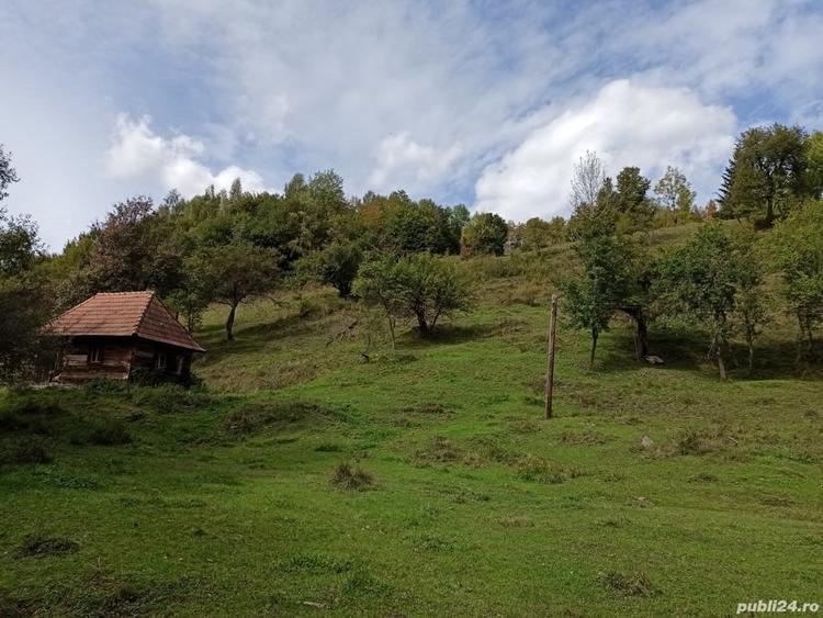 Teren de 3000 mp, în Ponor