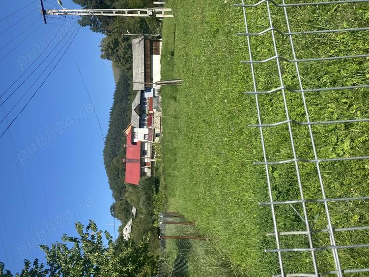 Teren de 11541 mp, în Buhalnița