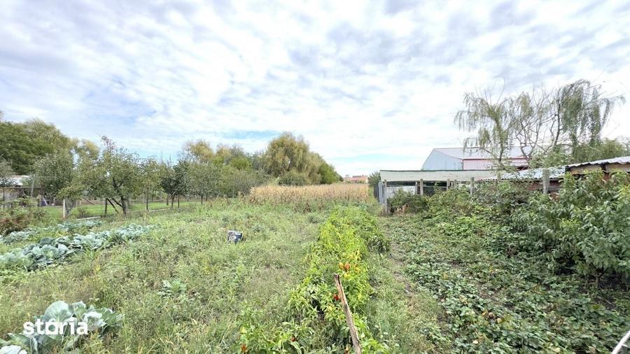 Casă cu 3 camere cu Teren 3263 Mp în Central