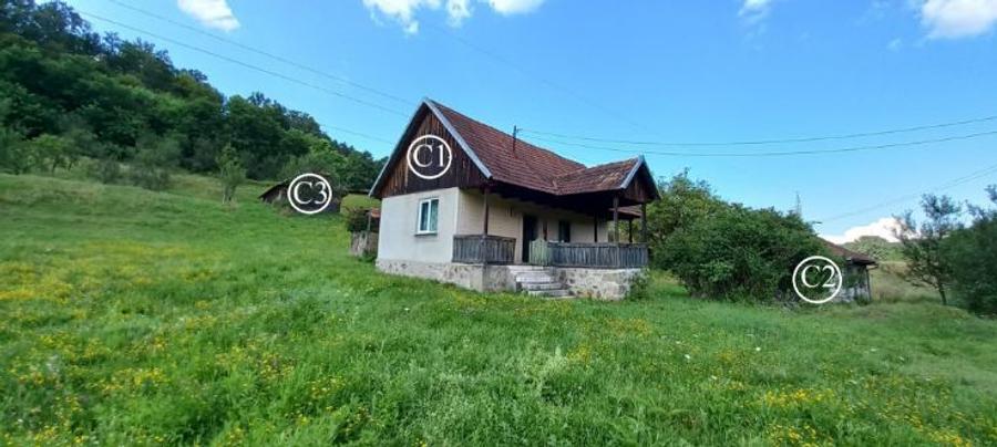 Teren agricol intravilan de 8644 mp, în Valea Bradului
