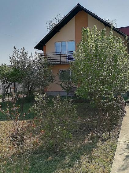 Casă cu Teren 600 Mp în Viișoara