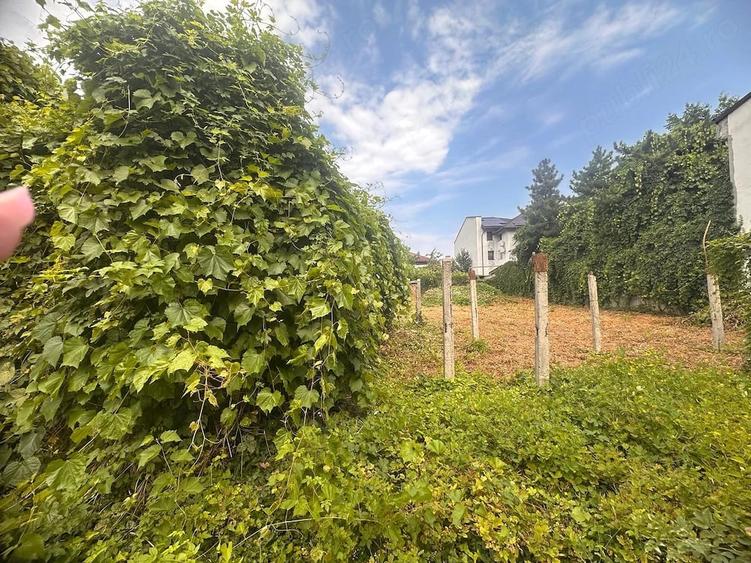 Casa ultracentrala din caramida-800 mp teren- necesita renovare - 5