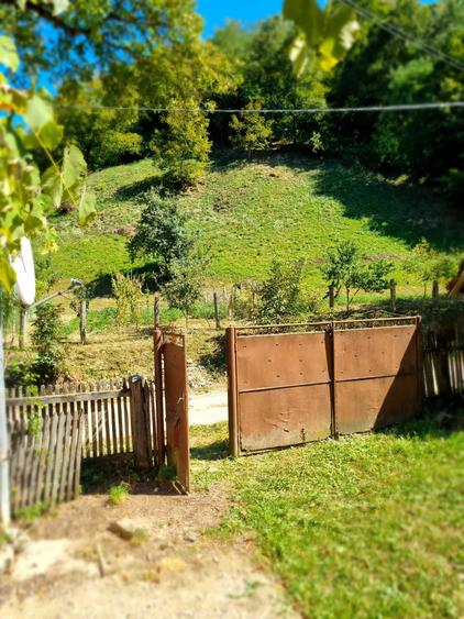 Casă cu 2 camere în Central