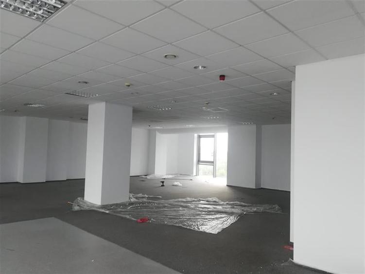 Birou, de 255 mp, în Aradului