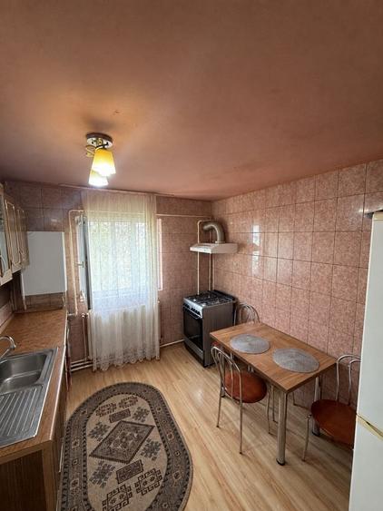 Apartament cu 2 camere semidecomandat în Craiovița Nouă